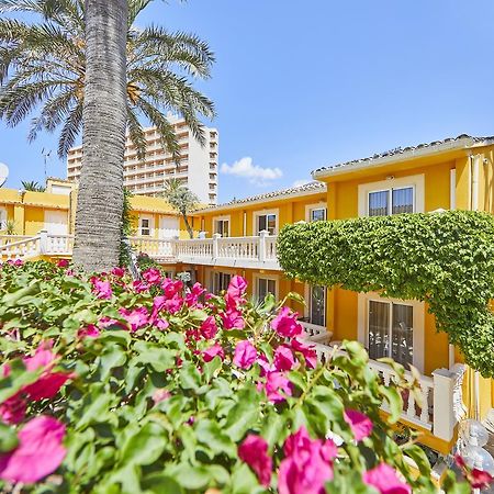 פגוארה Hotel Cupidor מראה חיצוני תמונה